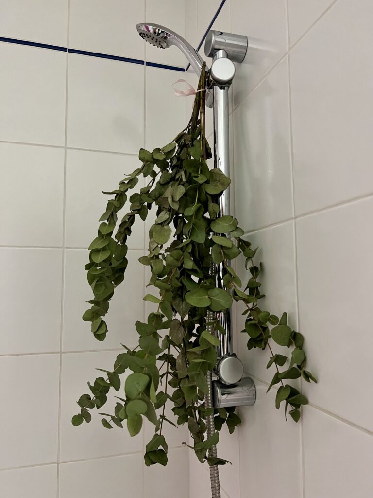aleksandra-tomash-dupe everything shower