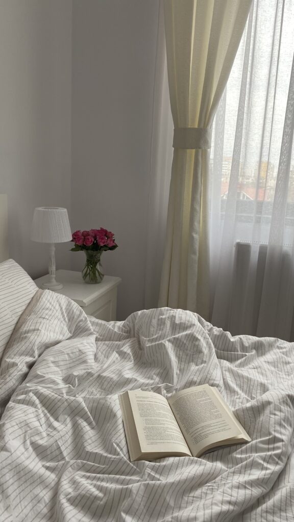 dana-bucur-dupe clean girl room