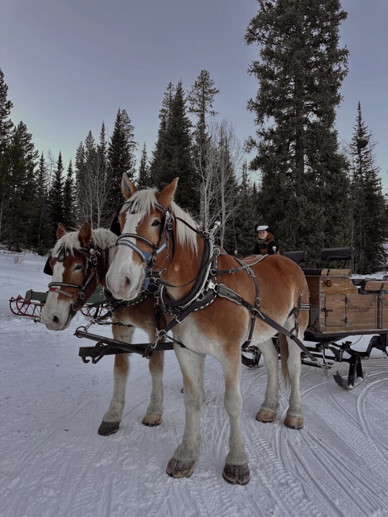 winter activities