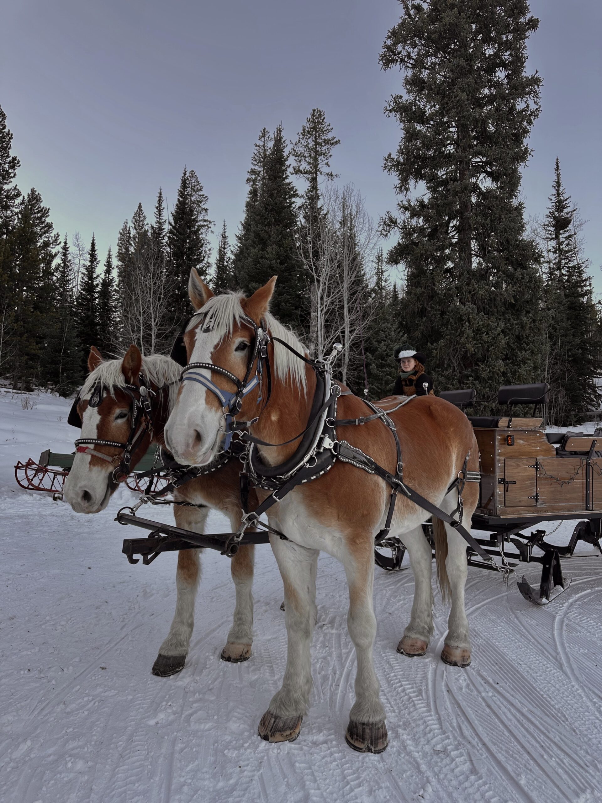 winter activities