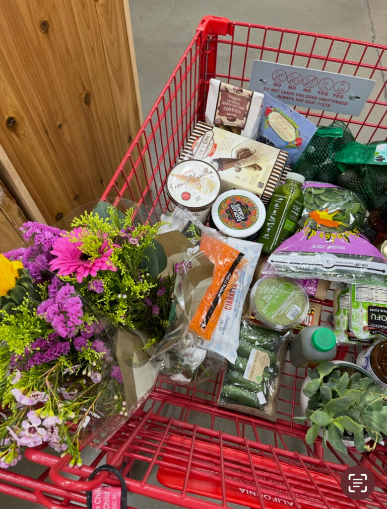madi-fagan-dupe meal plan