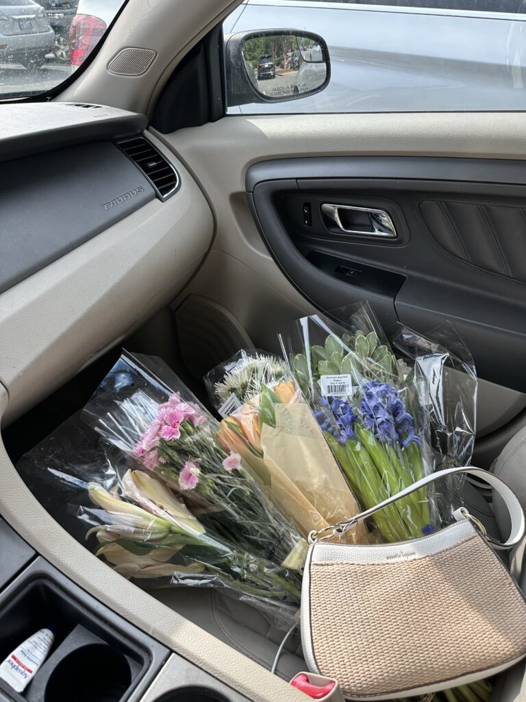 bridget-despard-dupe (1) passenger princess